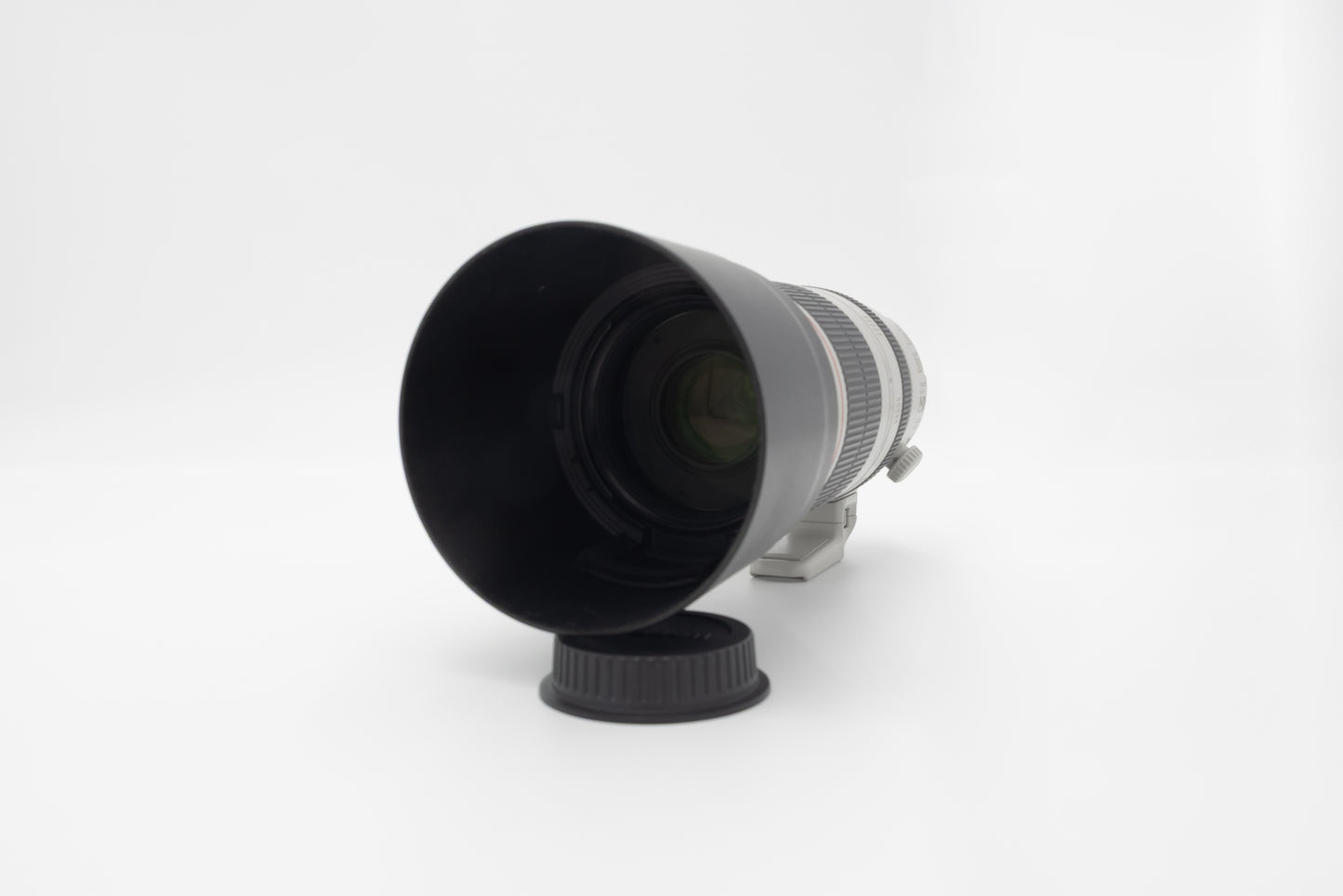 CANON EF100-400mm F4.5-5.6L IS II USM