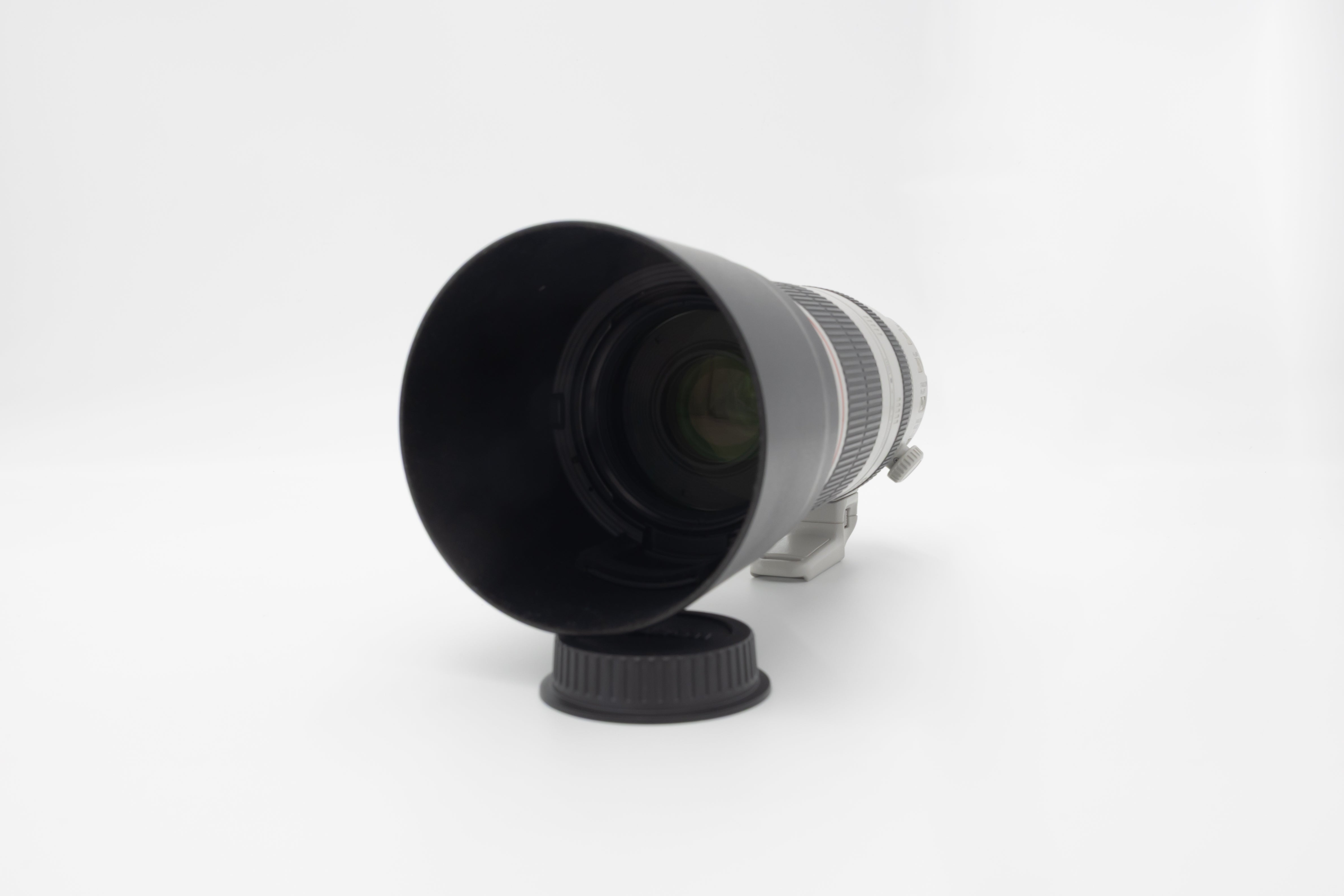 CANON EF100-400mm F4.5-5.6L IS II USM