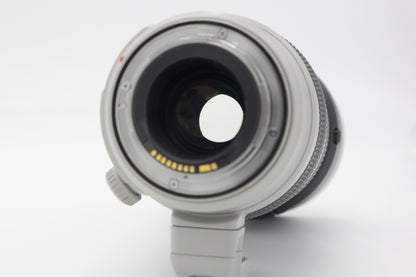 CANON EF100-400mm F4.5-5.6L IS II USM