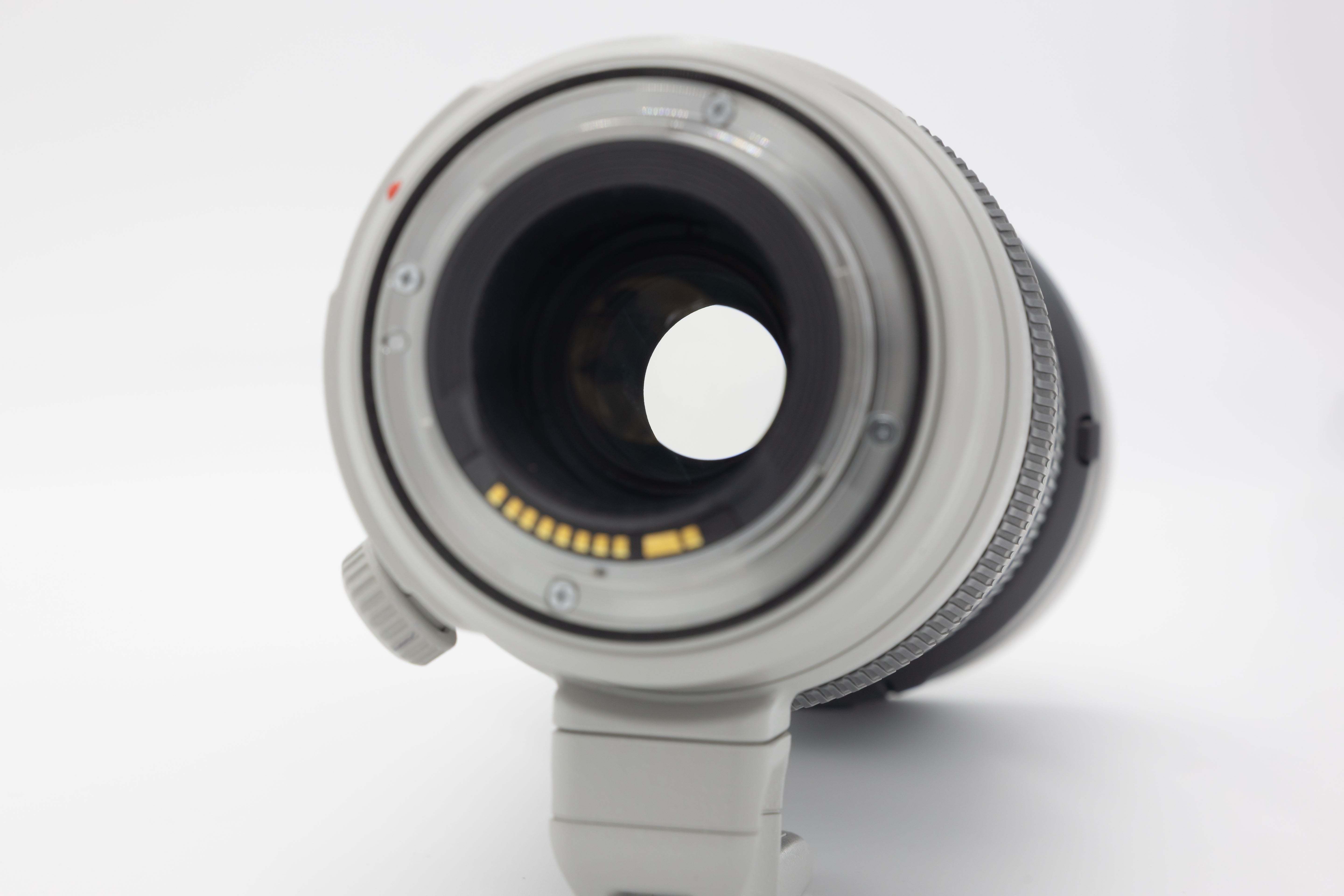 CANON EF100-400mm F4.5-5.6L IS II USM